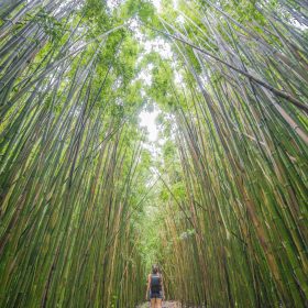 road to hana