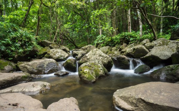 Went searching For Authentic Hawaii, and Found it in Molokai