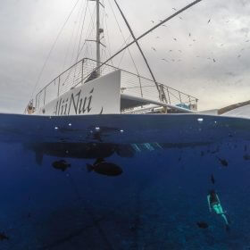 molokini crater