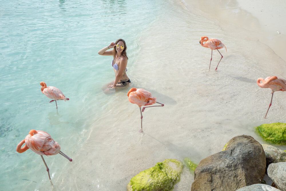 How to Visit Flamingo Beach in Aruba