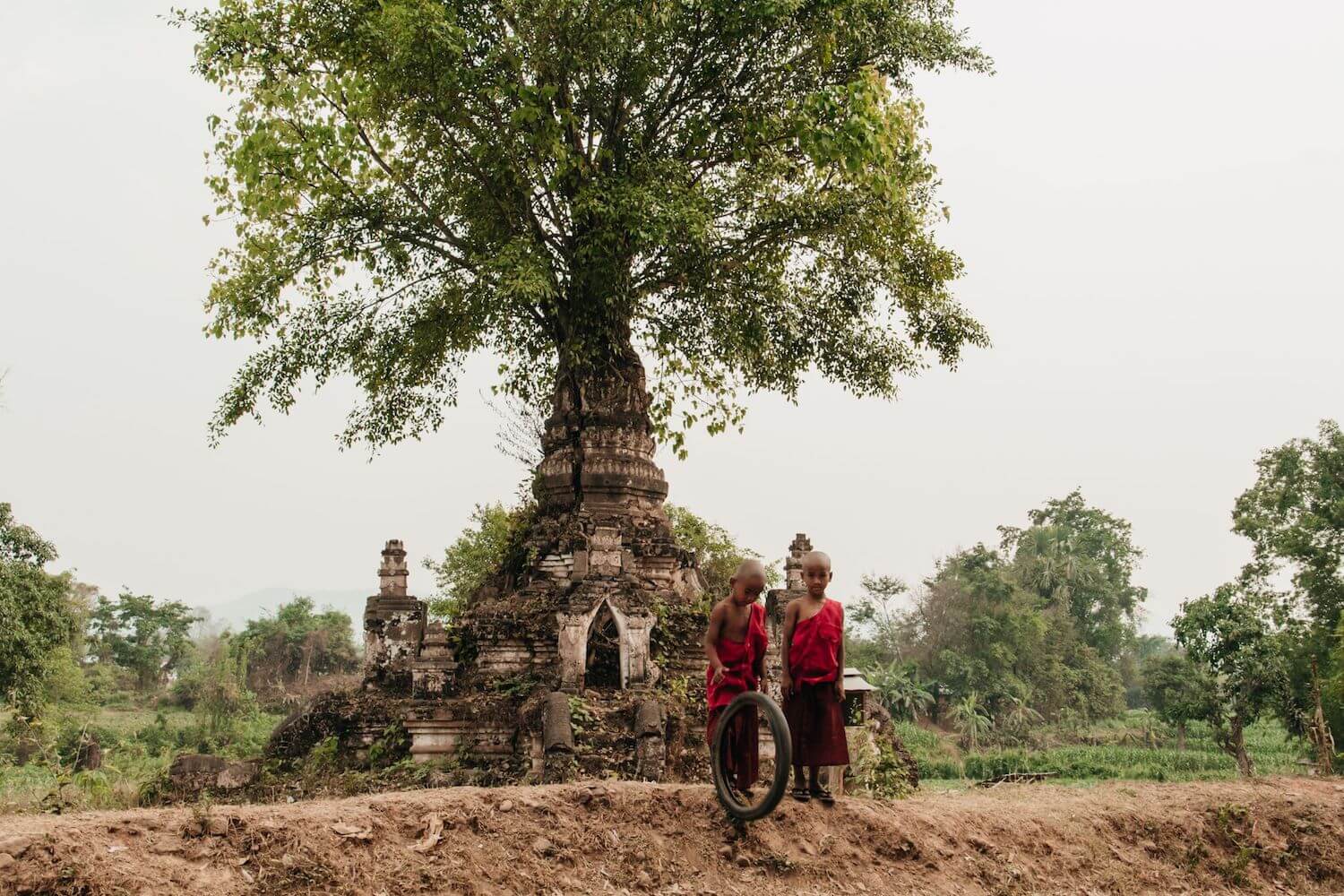 Best Myanmar Itinerary: Photo of two monk boys in red robes playing outside of a temple that has a tree sprouting from the top in Hsipaw, Myanmar. Photo taken by Ryan Brown of Lost Boy Memoirs, edited in Lightroom.