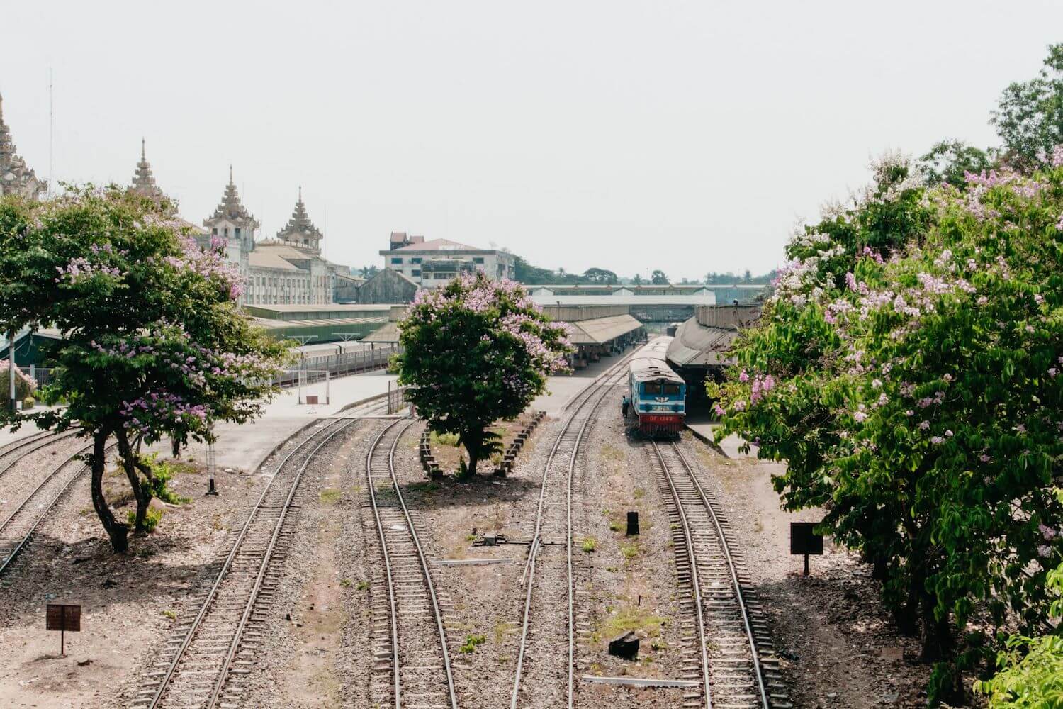 Best Myanmar Itinerary: Photo of Yangon train station, once capital of Burma, showing trees in bloom and old colonial buildings. Photo taken by Ryan Brown of Lost Boy Memoirs with Canon 650D Rebel T4i, edited in Adobe Lightroom.