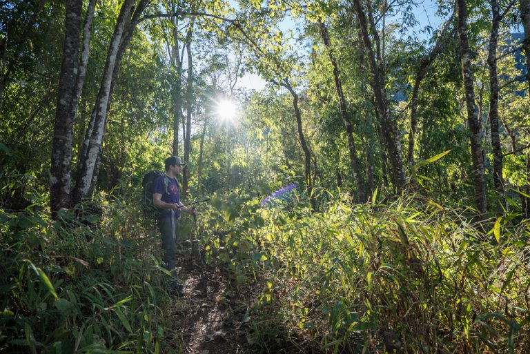 A Guide To Hiking Doi Luang Chiang Dao