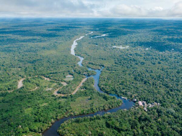 The Amazon in Peru: How to Do it Right