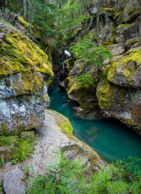 15 Best Things to do in Glacier National Park (Map + Tips!)