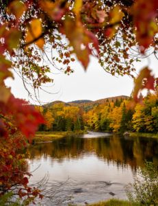 The Perfect Fall Road Trip In Québec