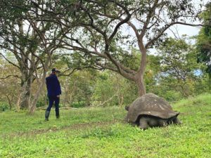 The 15 Best Things to Do on the Galápagos' Santa Cruz Island - Be My ...