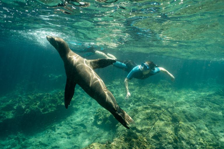 The Best Galapagos Islands Cruise for Solo Travelers