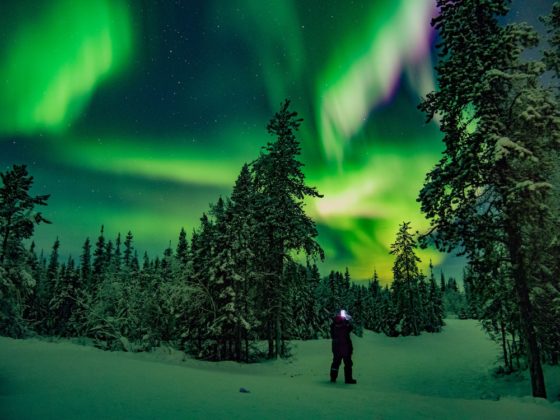 Where to See the Northern Lights