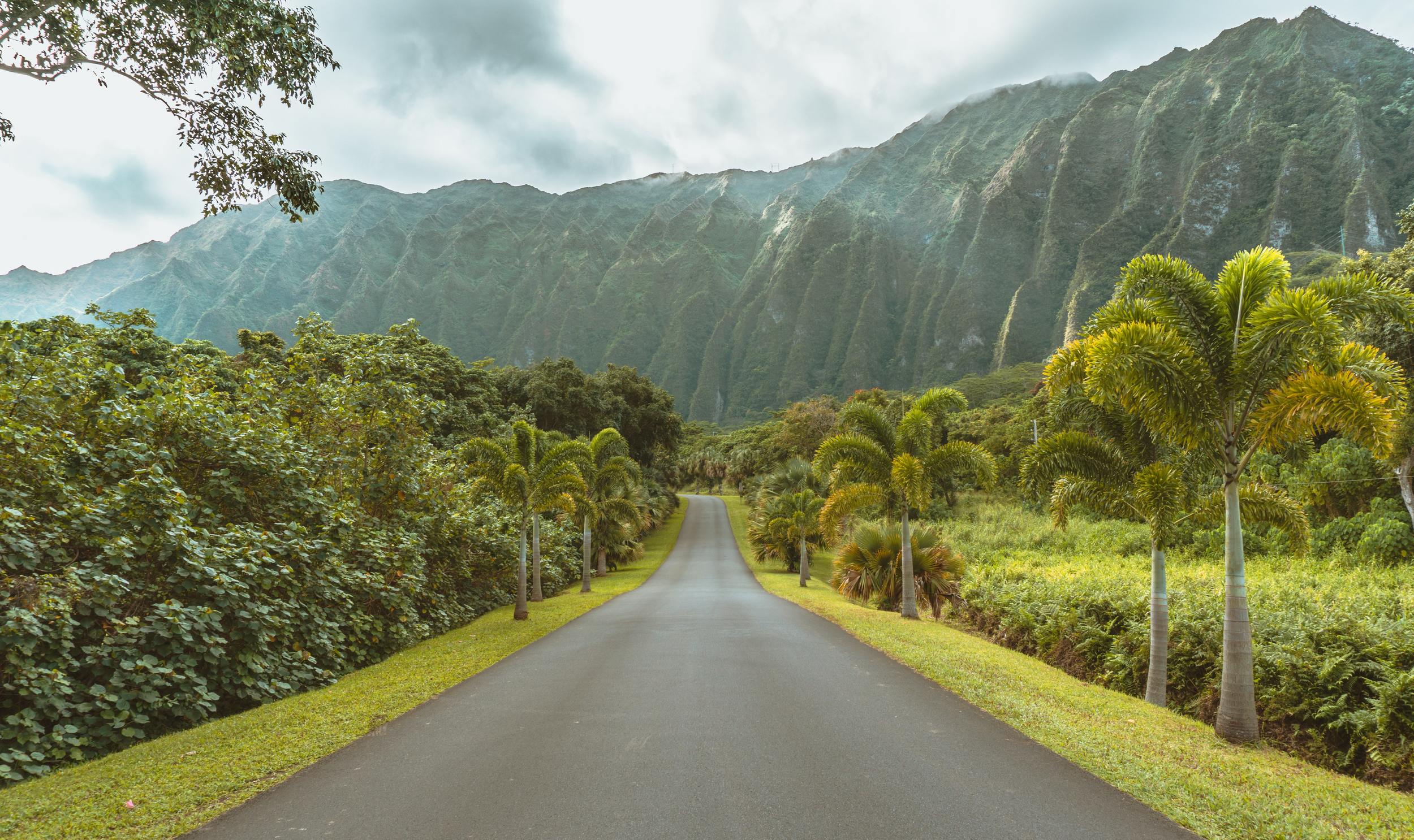 24 AMAZING Things To Do On Oahu In 2024