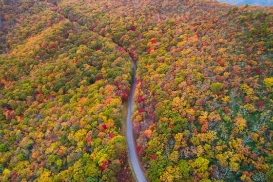 The Ultimate Blue Ridge Parkway Camping Guide - Be My Travel Muse