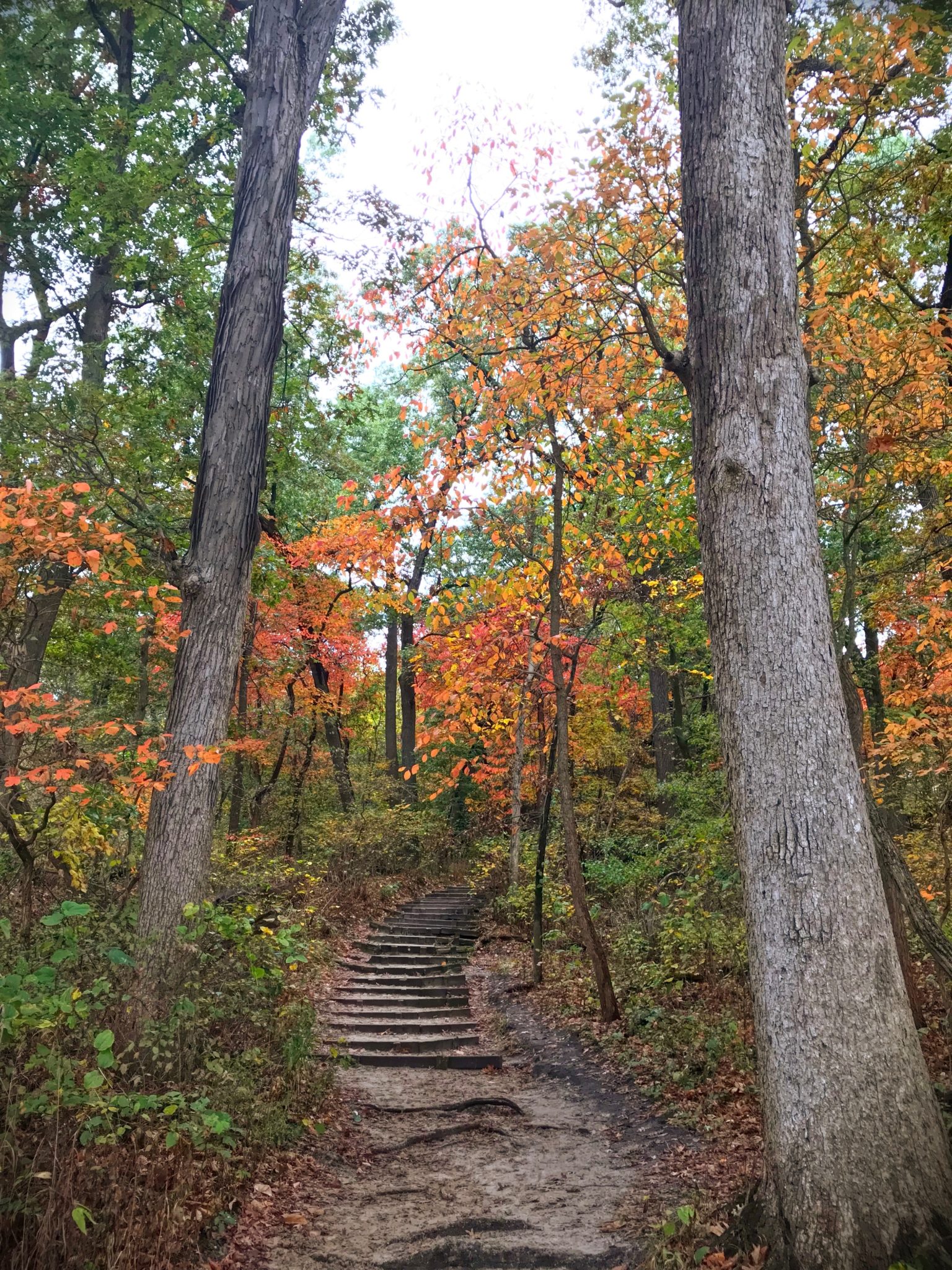 The 7 Best Midwest Road Trips   Best Midwest Road Trips 1536x2048 