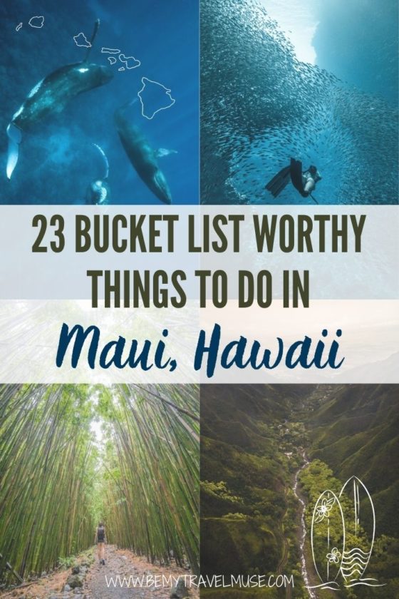 23 of Maui’s Best Things to Do - Be My Travel Muse