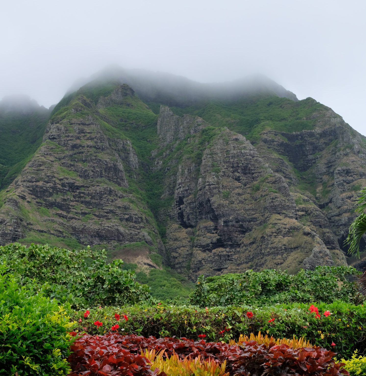 24 AMAZING Things To Do On Oahu In 2024   Best Things To Do On Oahu 5 1493x1536 