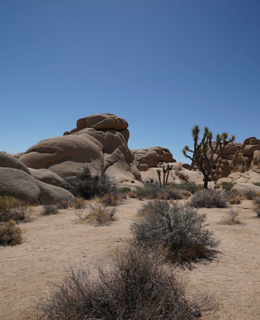 What To Do in Joshua Tree National Park - Be My Travel Muse
