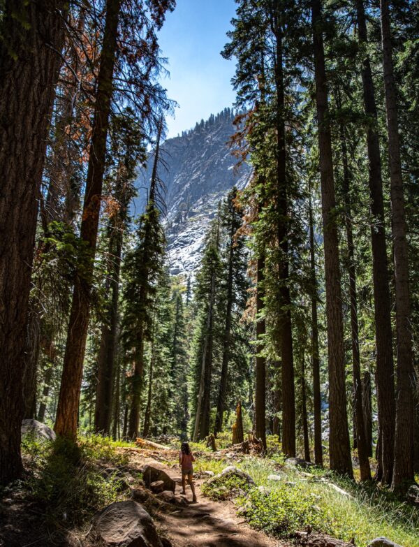 The Best Things To Do In Sequoia (and Kings Canyon) National Park