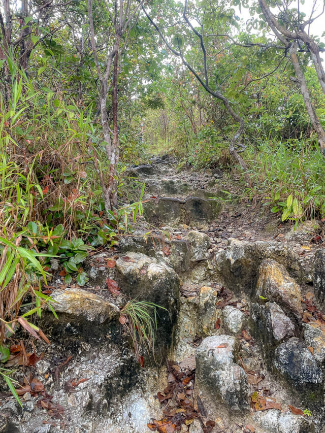 El Nido Tour B O Passeio Em Grupo Vale A Pena Viajando E Aproveitando