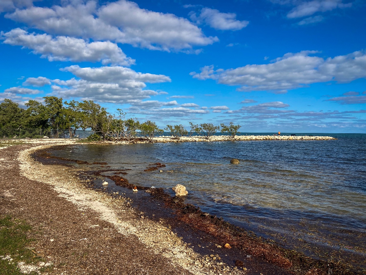 6 Best Beaches In Key Largo Public Private Be My Travel Muse   Best Beaches In Key Largo 5 