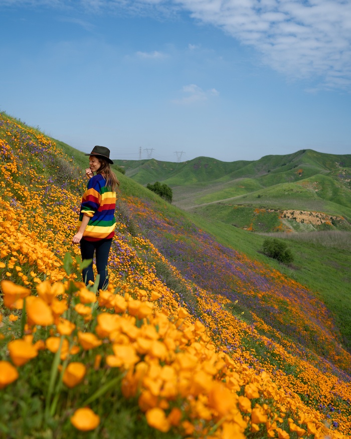 Woman in a multi-colored shirt walking through a field of bright orange poppies