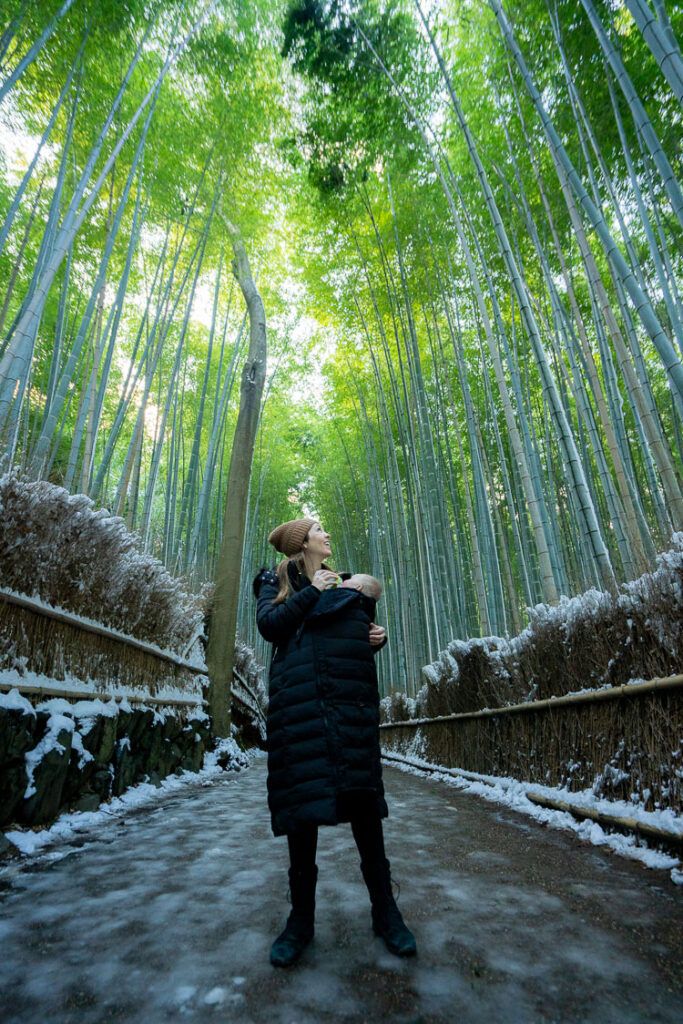 Winter Sightseeing in Tokyo Done Right: What to Know and What to