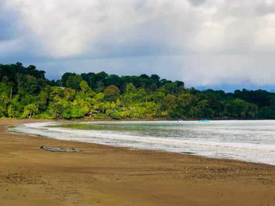 2023 Guide to Corcovado National Park (7 Things to Know!) - Be My ...