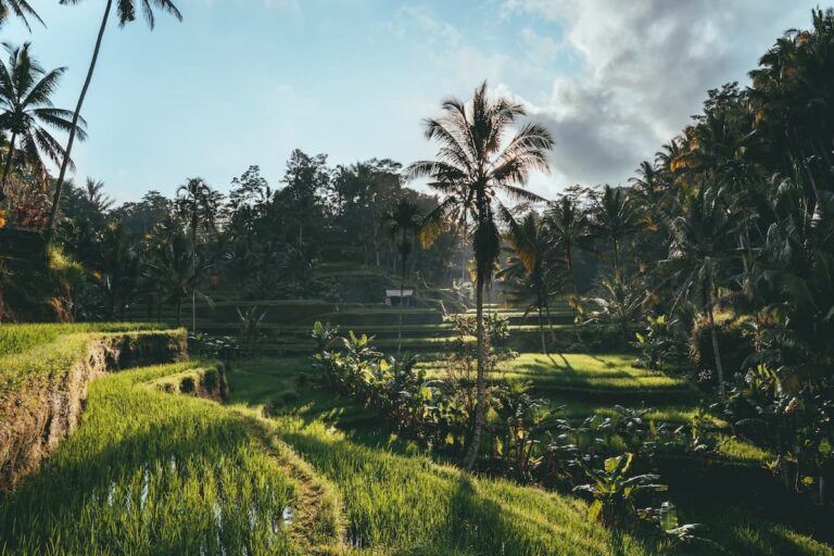The Ultimate Solo Female Travel Guide To Bali - Be My Travel Muse