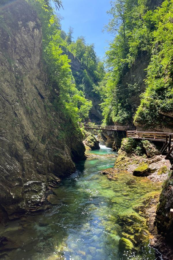 A view of the wooden trail leading through Vintgar Gorge in Slovenia, hovering over the turquoise river flowing through the stone passage.